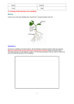 Name School Class Date 8. Looking at the structure of a seedling Method