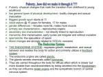 the endocrine system