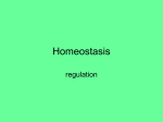 Homeostasis