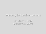 11-Mercury-Elizabeth Rubio