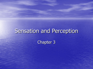 Sensation and Perception