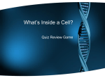 Cells Powerpoint