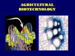 Lecture 2: Applications of Tissue Culture to Plant Improvement