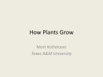 2 How Plants Grow