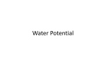 Water Potential