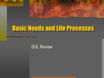 Basic Needs and Life Processes SOL Review TP