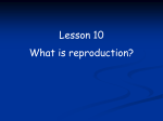 Reproduction