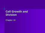 Cell Growth and Division