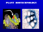 Lecture 2: Applications of Tissue Culture to Plant