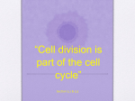 Cell Cycle