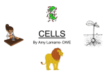 CELLS