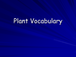 Plant vocabulary PowerPoint