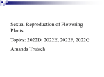 Plant Reproduction2