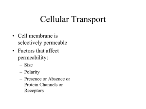 Cellular Transport