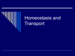 Homeostasis and Transport