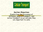 transport in cells enrichment level