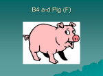 b4a-d-pig-f - Macmillan Academy