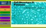 cells webquest