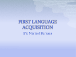 FIRST LANGUAGE ACQUISITION