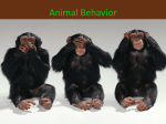 Animal Behavior