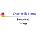 Chapter 1 Notes