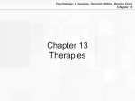 Chapter 13: Therapies