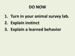 Animal Behavior