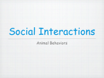 Social Interactions