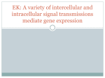 EK: A variety of intercellular and intracellular signal