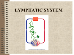 INTEGUMENTARY SYSTEM - Coast Colleges Home Page