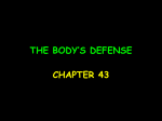 the body`s defense