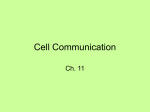 Cell Communication