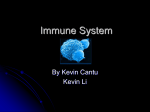 Immune System