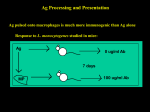 1.8mb ppt - UCLA.edu