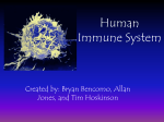 Human Immune System