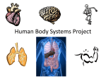 Human Body Systems