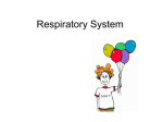 Respiratory System - Hudson City Schools / Homepage