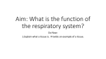 Aim: What is the function of the respiratory system?