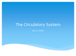 The Circulatory System