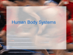 Human Body Systems