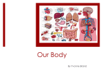 Our Body