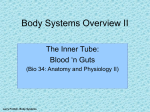 Body Systems Overview