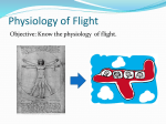 Physiological Divisions