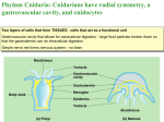 Diagram to Review 33