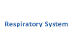 Respiratory System