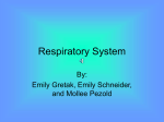 respiratoryeem