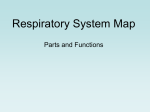 Respiratory System Map