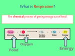 What is Respiration?