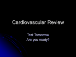 Cardiovascular Review