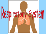 Effect Response Receptors Stimulated Factors